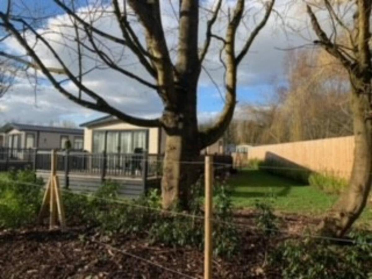 Captivating Bluebell Lodge 2-Bed Cotswolds Caravan サイレンセスター エクステリア 写真